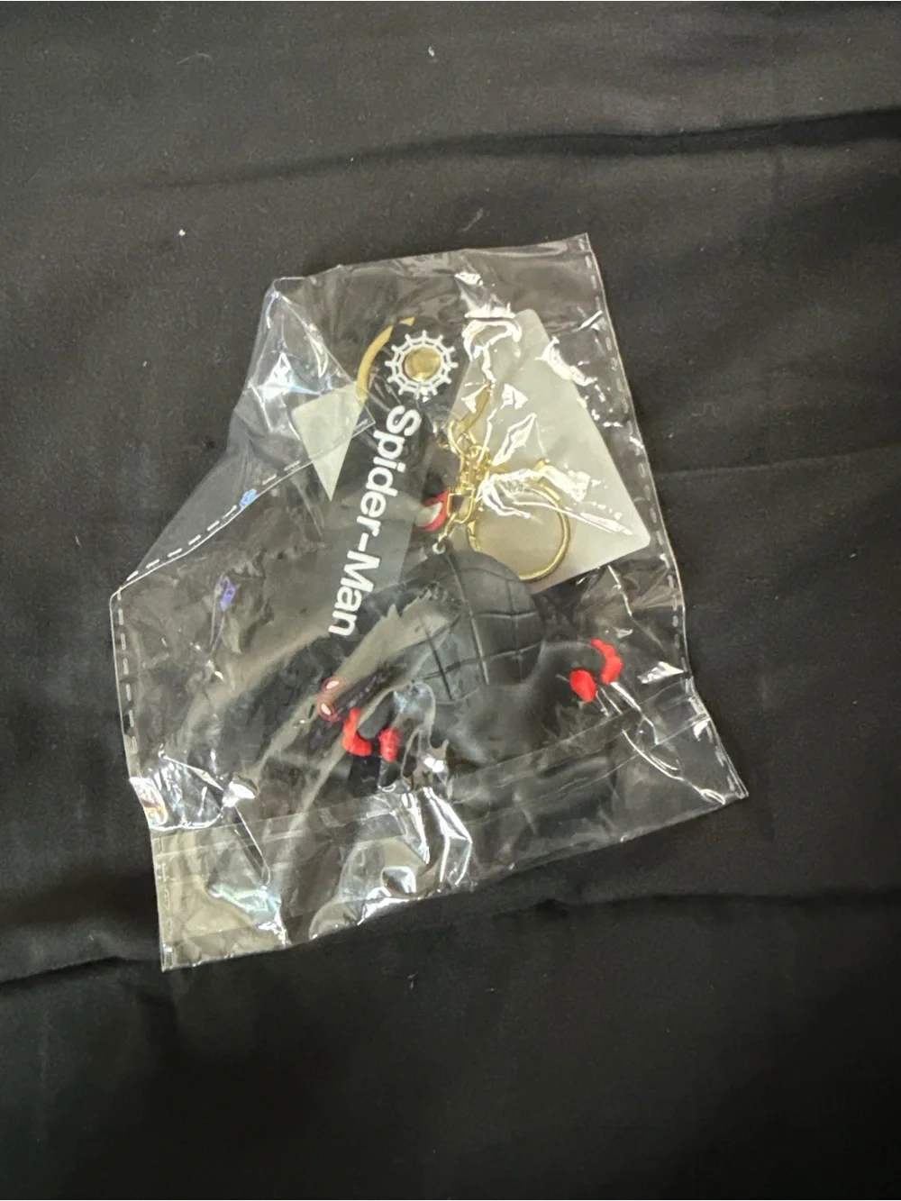 N/A keychain spider